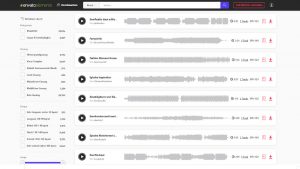 Musik WordPress Plugin Envato Elements Erfahrungen